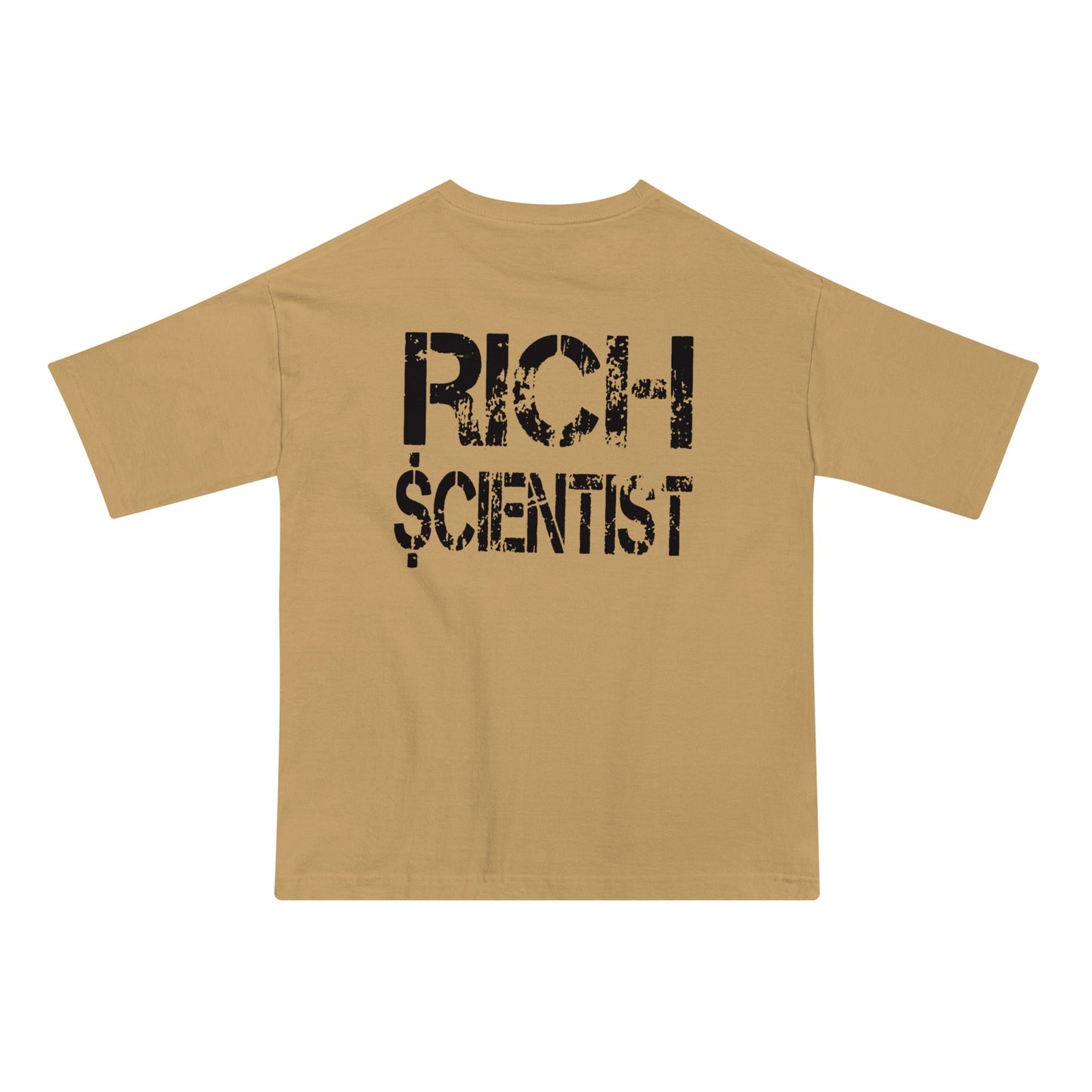 Rich Scientists Oversized T - shirt - Paid Label